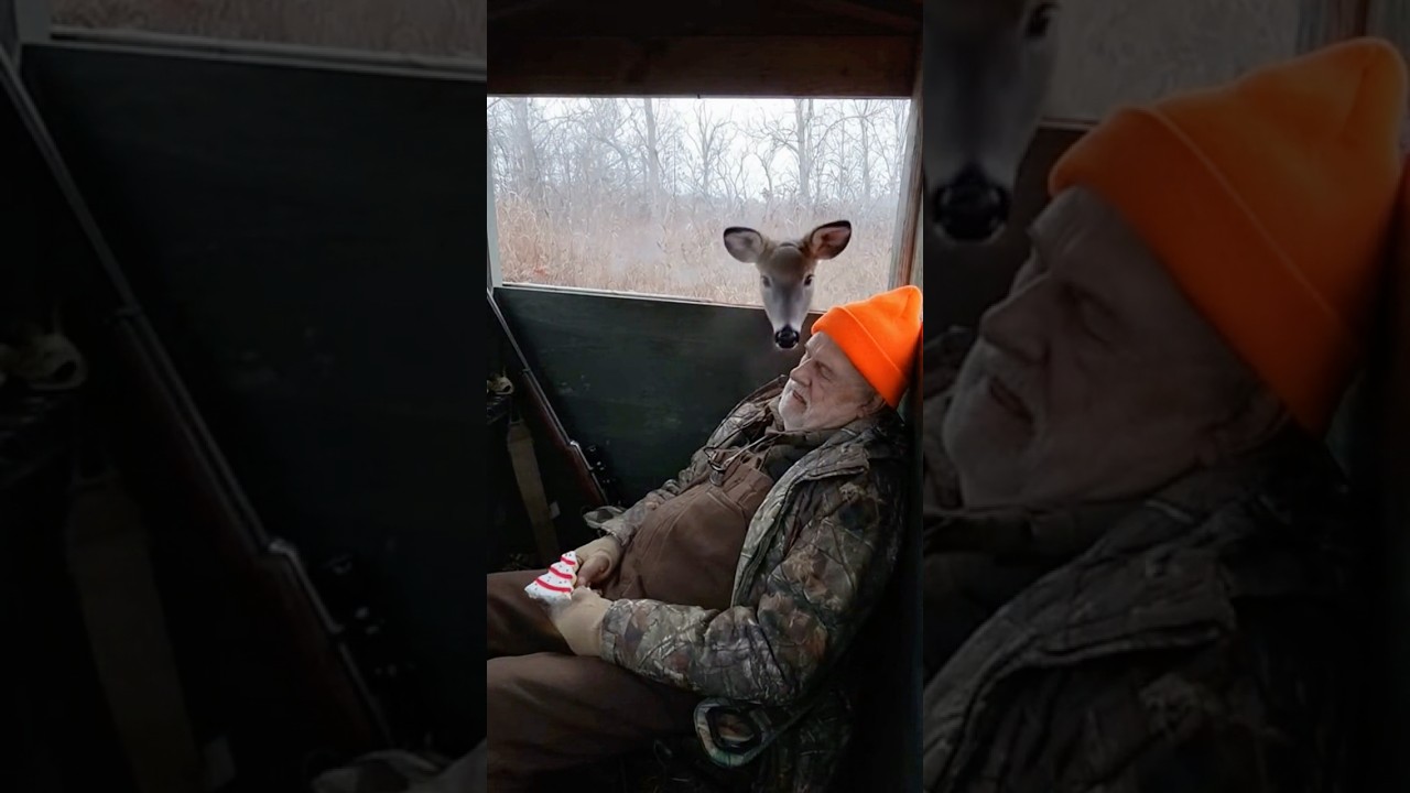 Oh boy! Better keep those little debbie snacks hidden!! 😂😂 