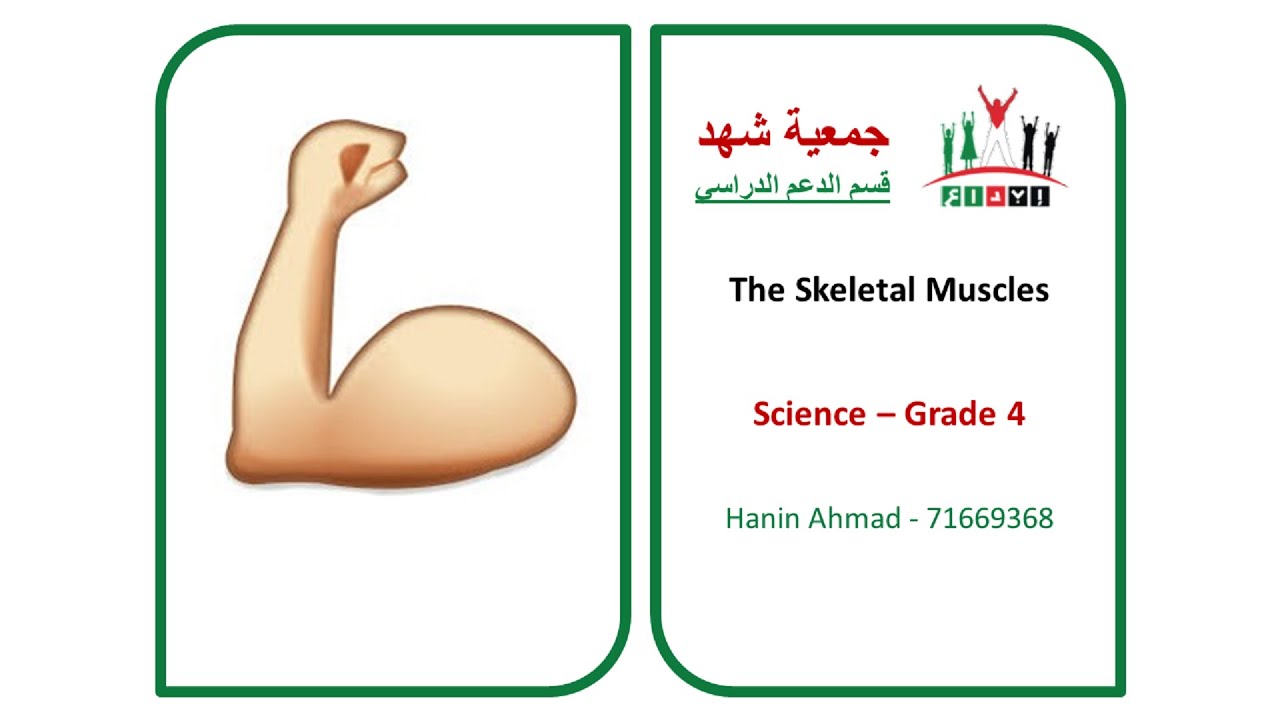 Ibda3 - GR4 - Science - The Skeletal Muscles