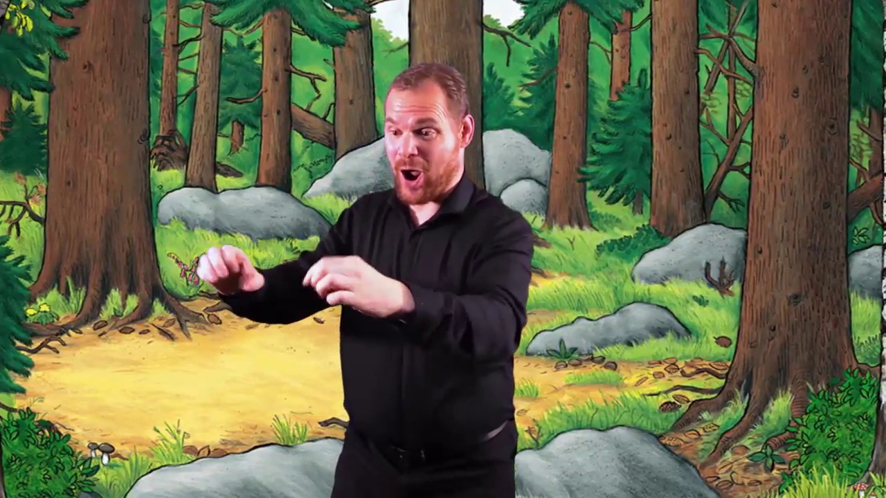 BSL Storytelling - The Gruffalo by Wayne Sharples
