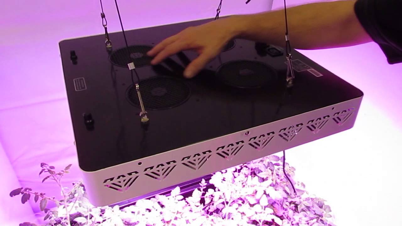 XML350 LED Grow Light