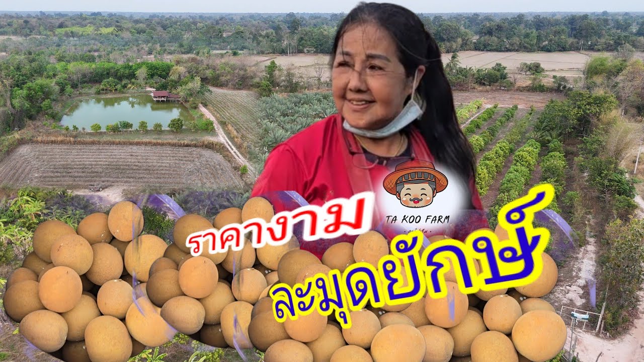 เปลี่ยนที่รกร้าง​ มาสร้างป่าผลไม้​  รายได้งามตลอดปี