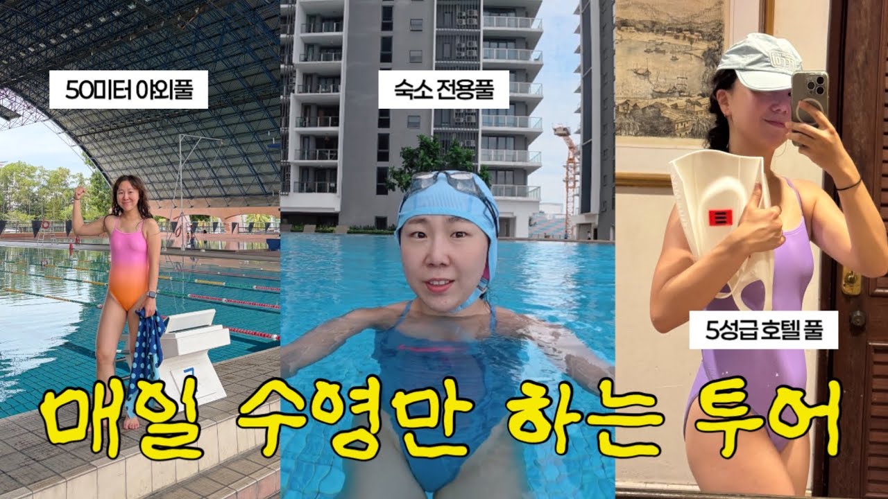 수친자들을 위한 코나키나발루 수영 패키지🐬(수트라하버, 리카스 50M 수영장, 반딧불 투어)