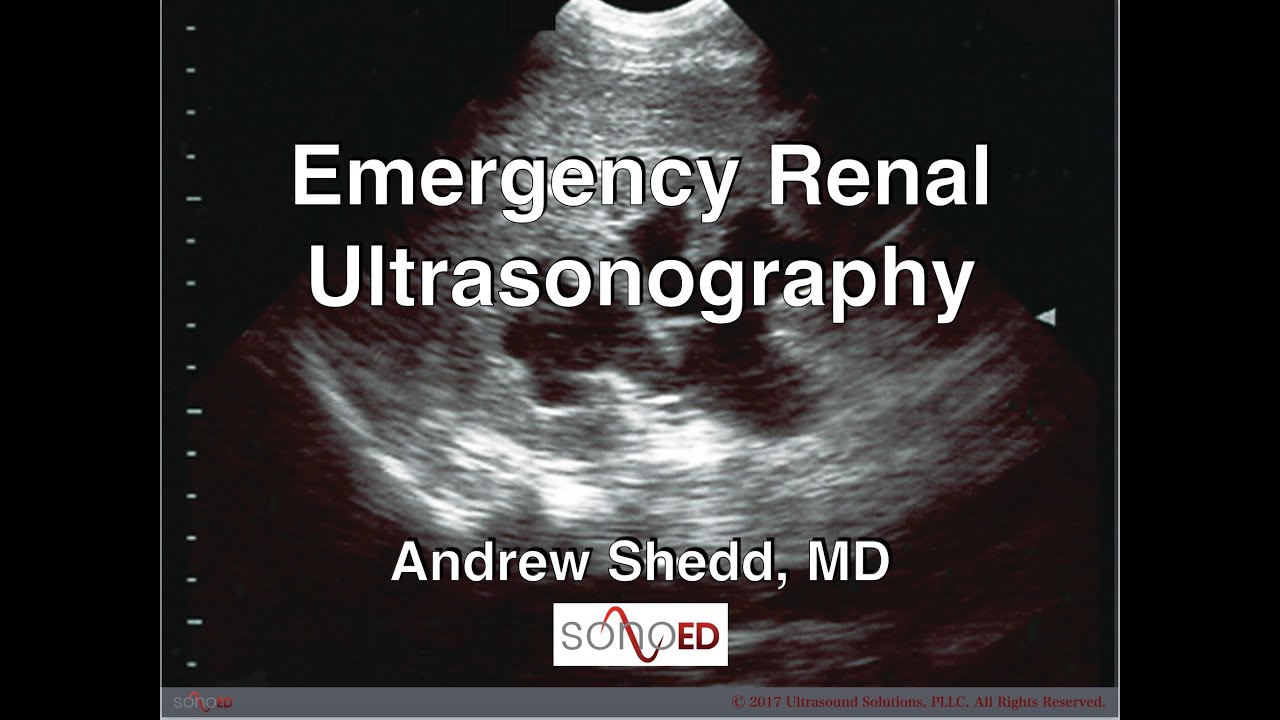 An Overview of Focused Renal Ultrasound in the ED