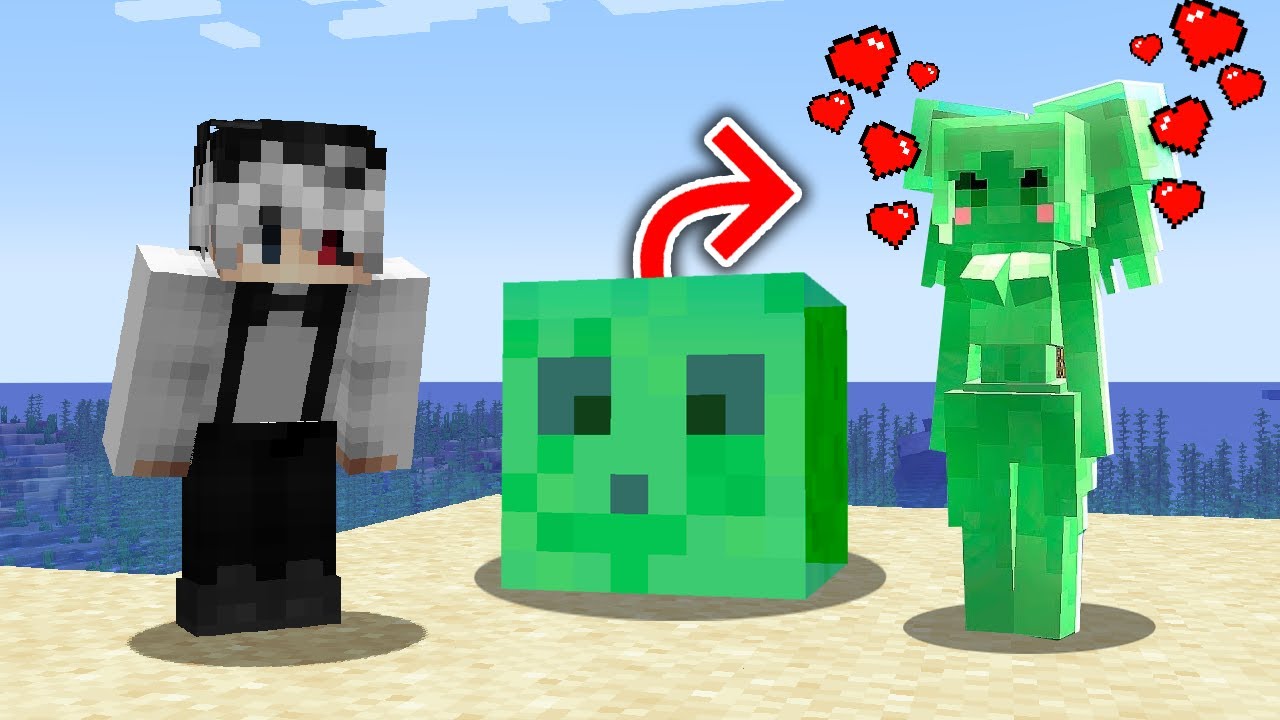 Am Schimbat Toti Mobii in FETE in Minecraft!