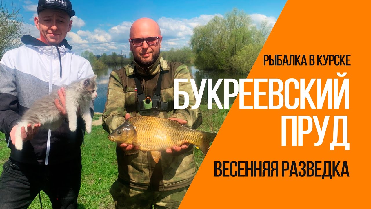 Букреевский пруд. Весенняя разведка на карпа