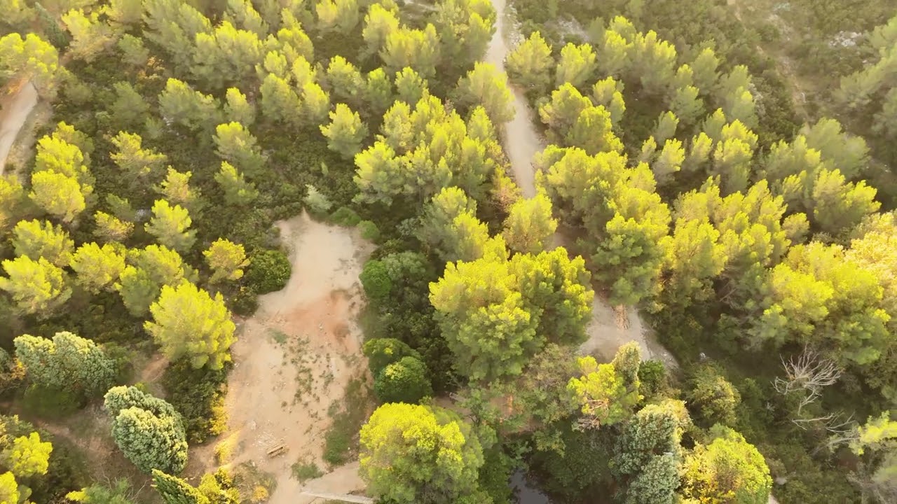 création d'un trail au gros cerveau à Ollioules
