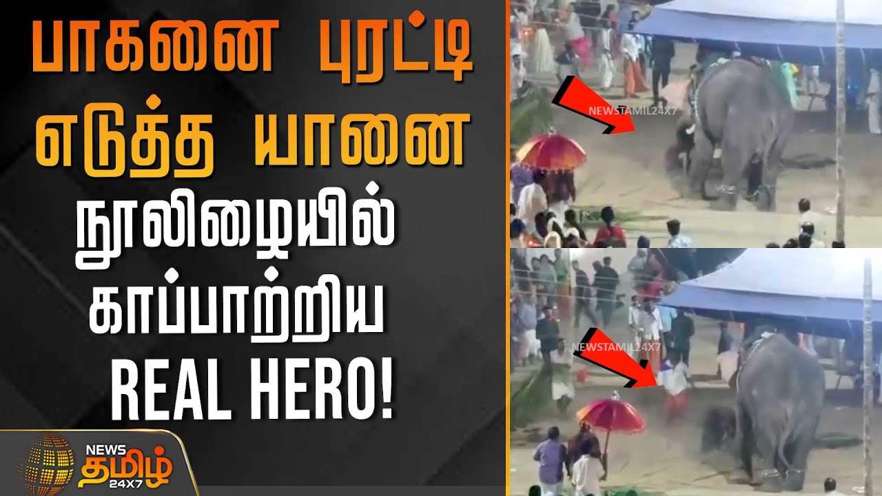 பாகனை புரட்டி எடுத்த யானை -நூலிழையில் காப்பாற்றிய Real Hero | Kerala | Elephant Attack | Viral Video