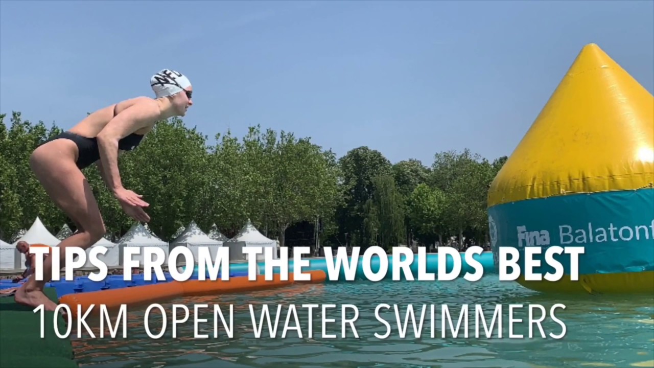 Top tips for open water swim racing from the worlds best 10km ELITE MARATHON SWIMMERS