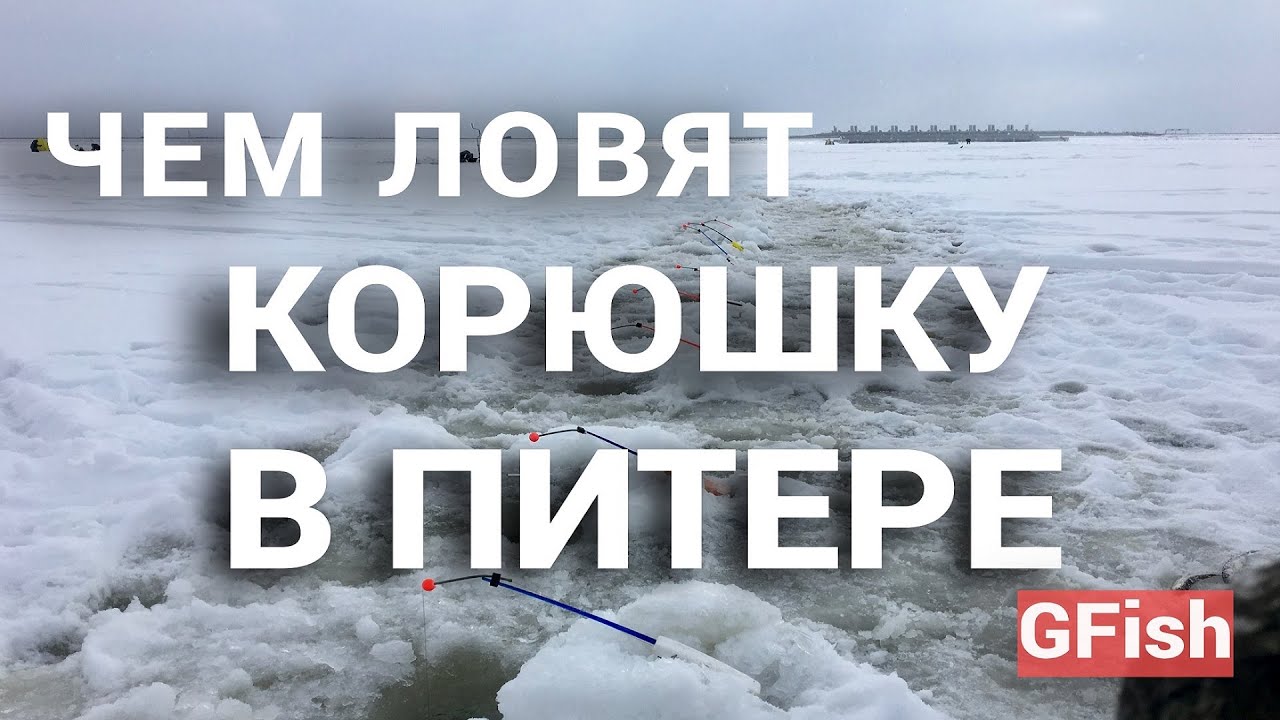 СКОЛЬКО СТОИТ КОРЮШИНАЯ УДОЧКА В 2023 ГОДУ