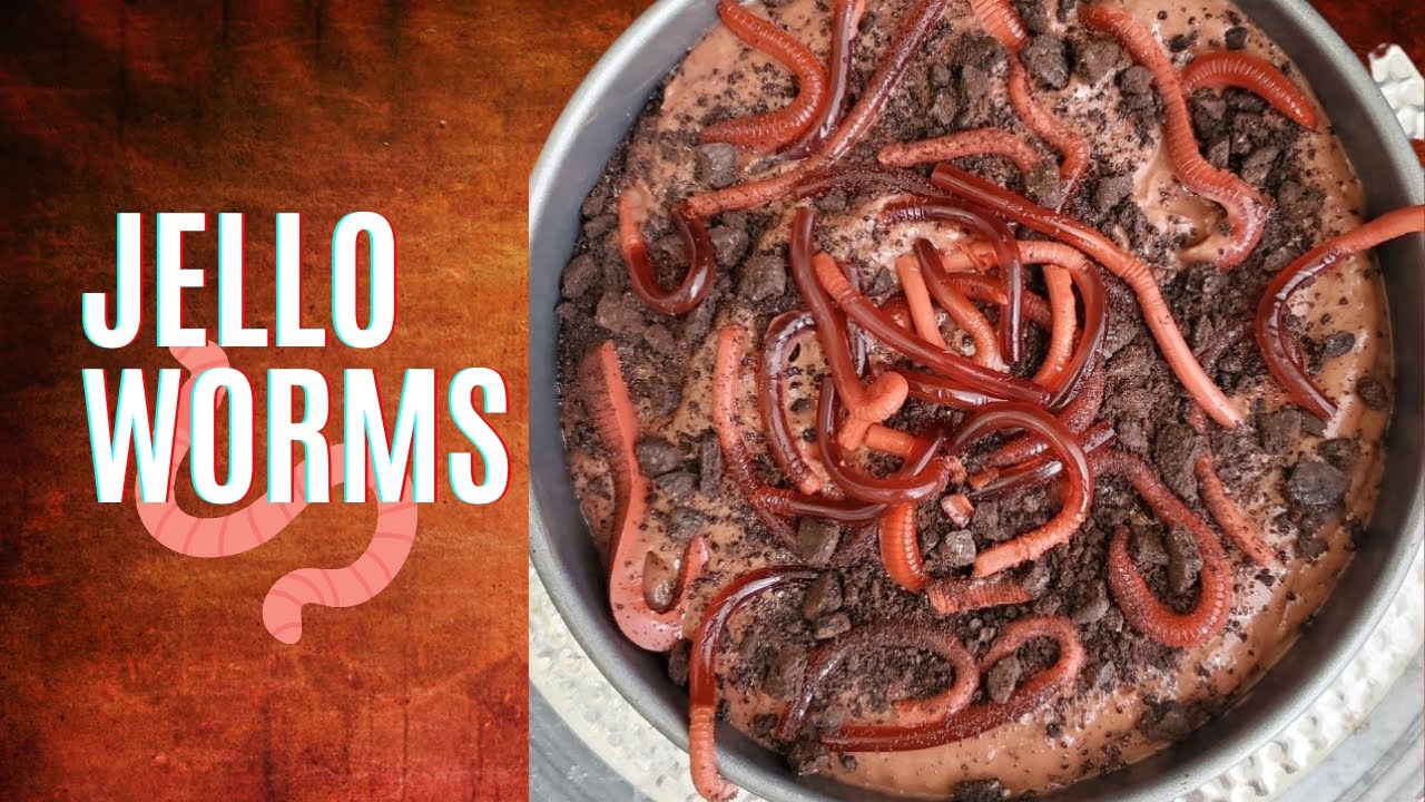How to Make Jello Worms - Edible Halloween Dessert