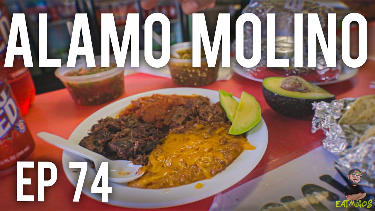 Alamo Molino: EP 74  San Antonio's Best Food