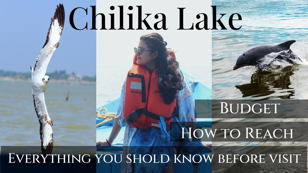 Chilika Lake Odisha | Asia&rsquo;s Largest Saltwater Lake with Dolphins 🐬