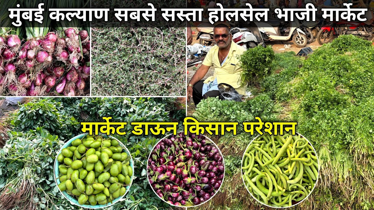 Kalyan Bhaji Market | Kalyan Wholesale Bhaji Market | Wholesale Bhaji Market In Mumbai