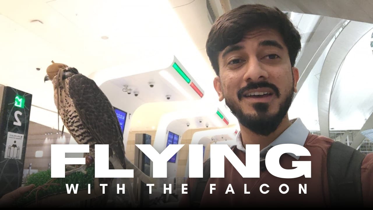 17 YEARS LATER......Visiting this country | ABU DHABI AIRPORT ETIHAD AIRWAYS REVIEW AND TRAVEL VLOG.