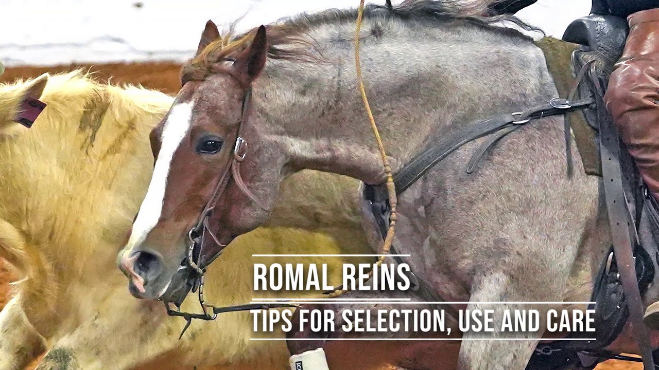 Romal Reins-Tips for Selection, Care and Use