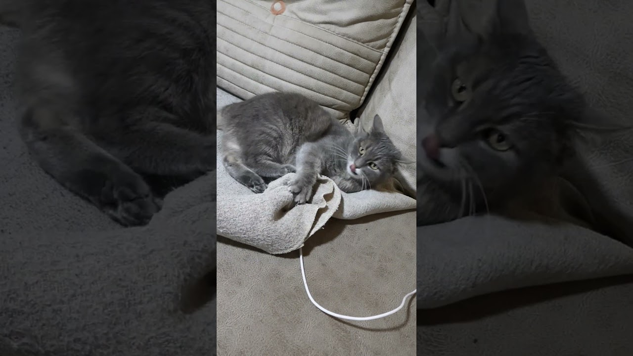 Grey Car Fighting Demons  