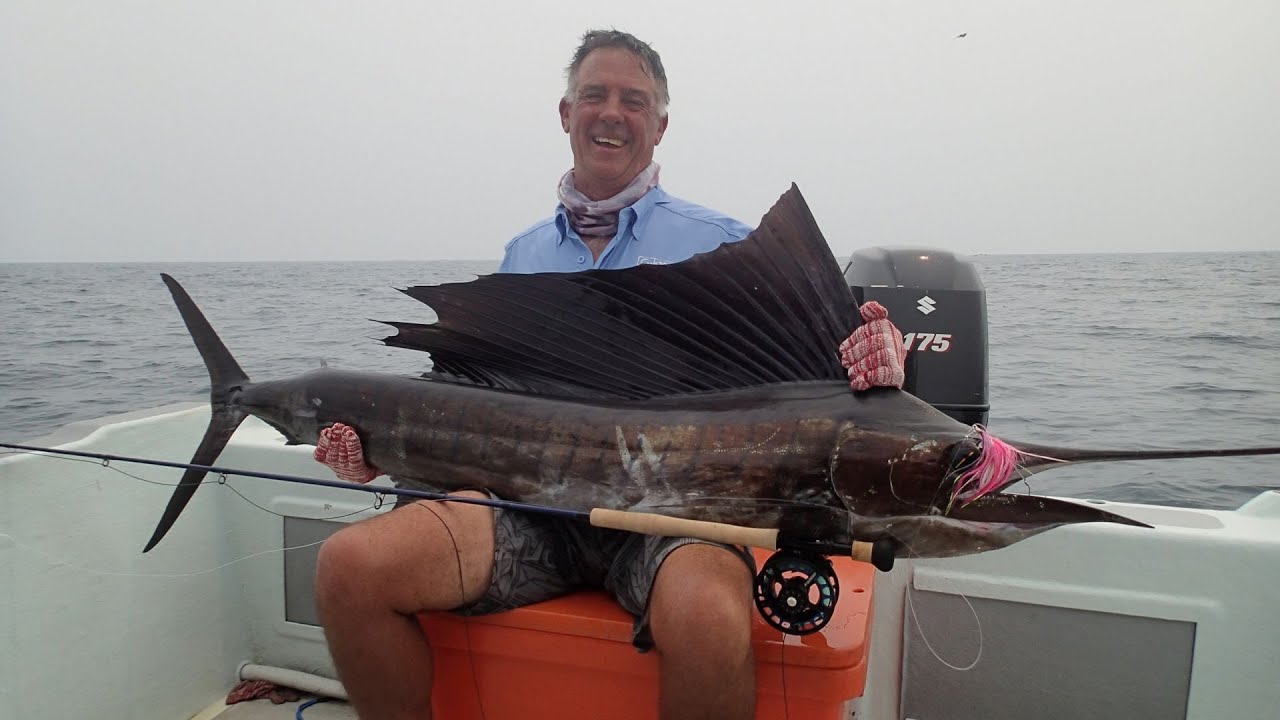 Sailfish on Fly