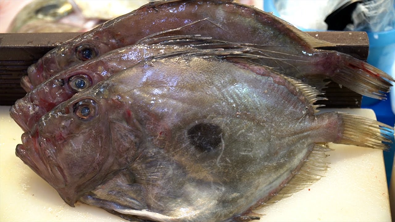 남북정상회담 만찬 메뉴! 부산의 자랑! 달고기 전처리 손질 John Dory