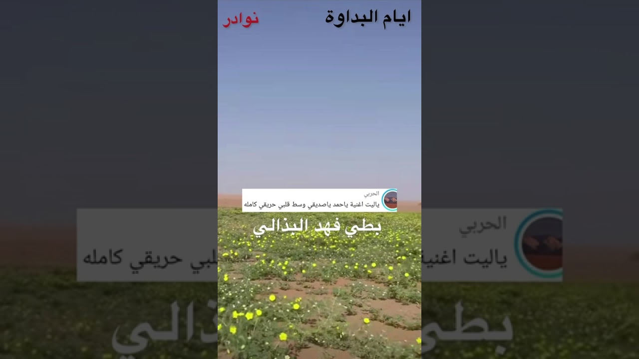 الفنان بطي فهد البذالي //  ياحمد ياصديقي 