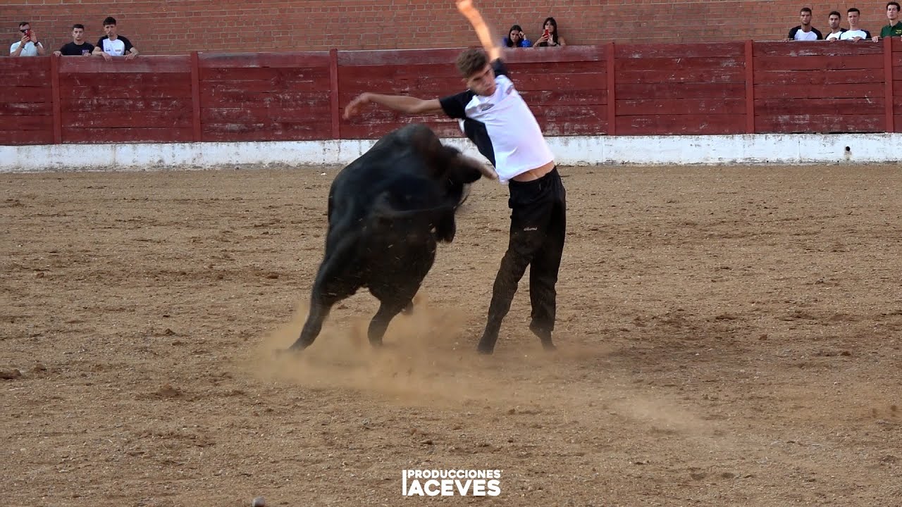 Concurso de Cortes en Fuentesaúco (05-07-25)