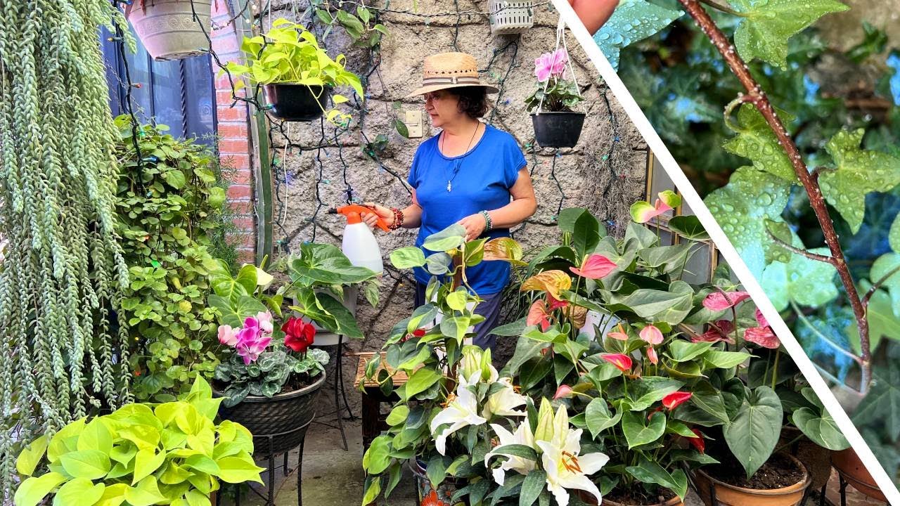 Acaba con el 100% de las PLAGAS, Bichos y Hongos de cualquier Planta