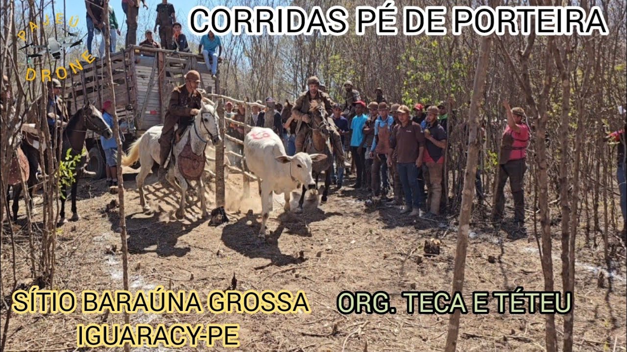 (DRONE) CORRIDAS PÉ DE PORTEIRA 1ª PARTE. SÍTIO BARAÚNA GROSSA IGUARACI-PE ORG. TECA E TÉTEU
