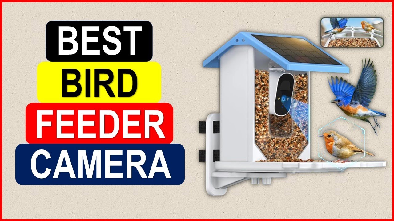 Top 5 Best Bird Feeder Camera in 2025 From AliExpress