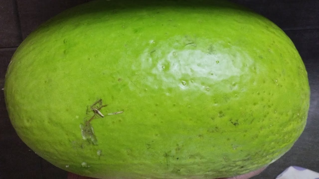 Como cocinar una calabaza Blanca 🎃