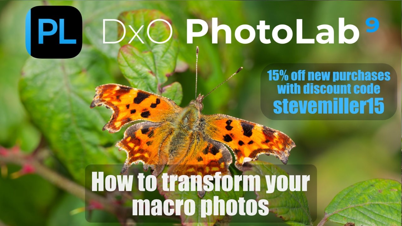 Преобразите свои макроснимки с помощью DxO Photolab.