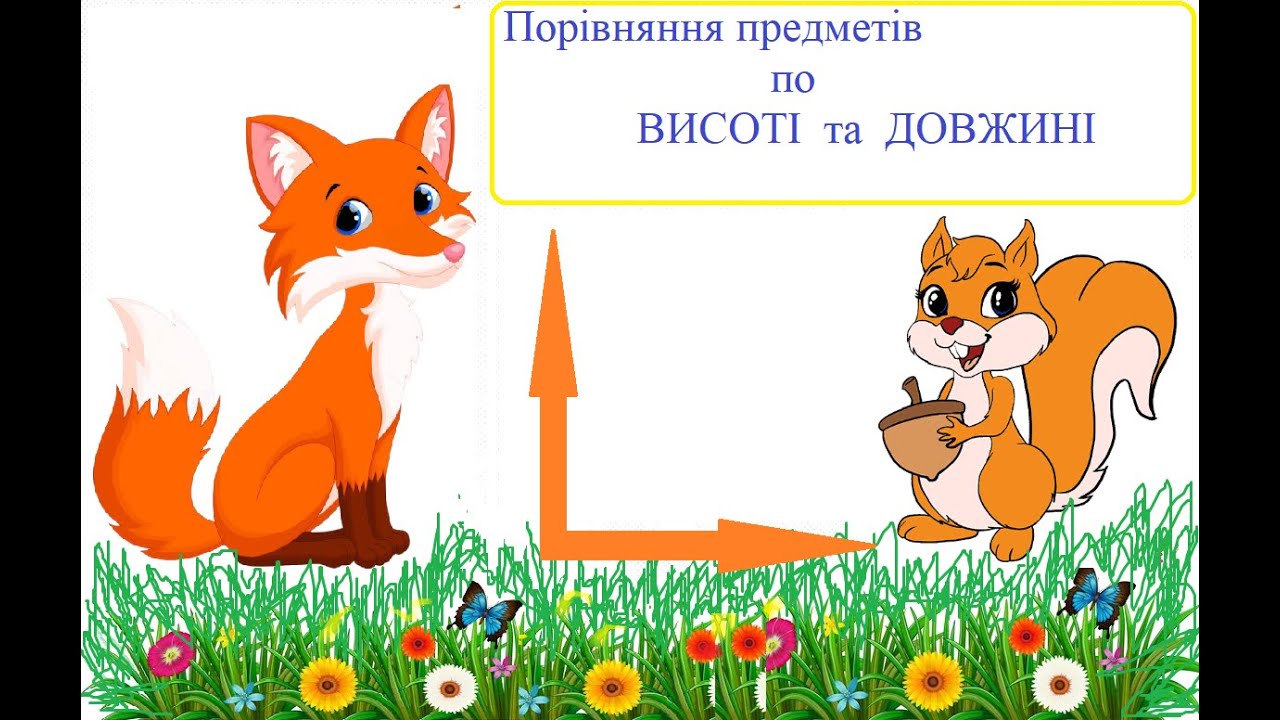 Порівняння по висоті та довжині