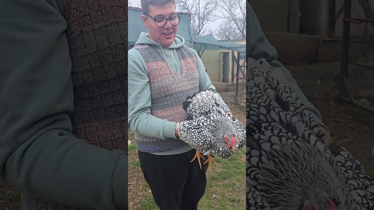 Am revenit cu un nou clip dupa un an. In vizita la ferma lui Timotei.🙊🐇🐓