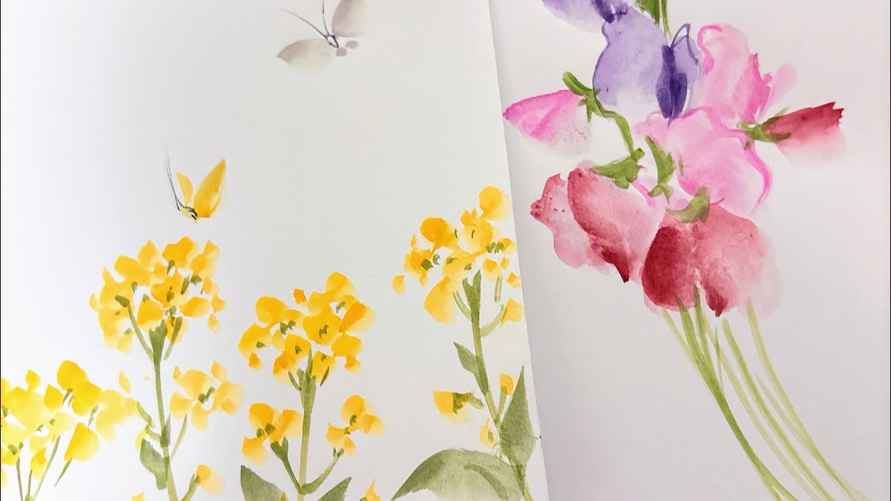 （ハガキ絵）菜の花とスイートピーEasy postcard drawing of rape blossoms and sweet peasほのぼの一筆画3🩷2026