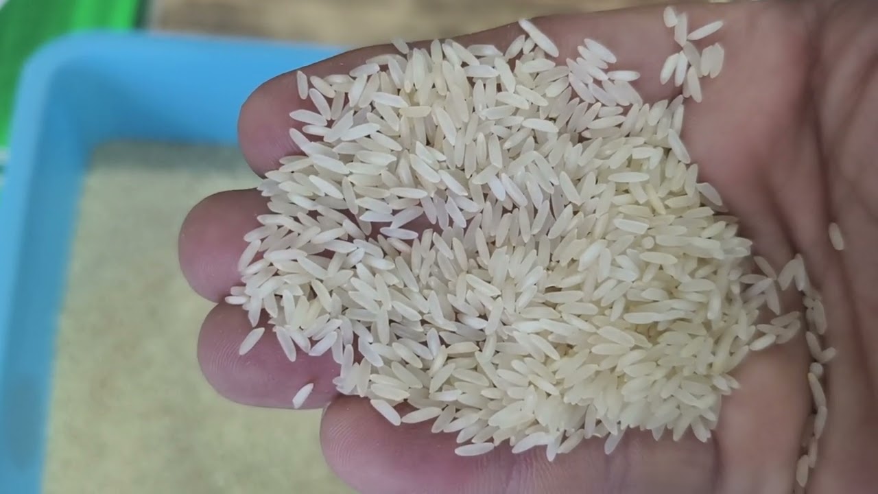 Miryalguda special Steam rice rsv 