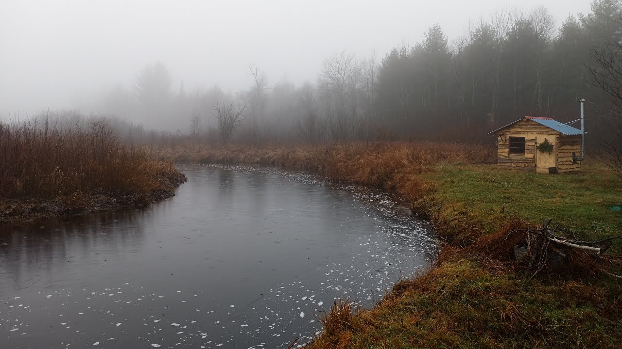 Spring Thunderstorm in a Tiny Adirondack Cabin | 2+ Hours of Relaxing Rain on Tin Roof
