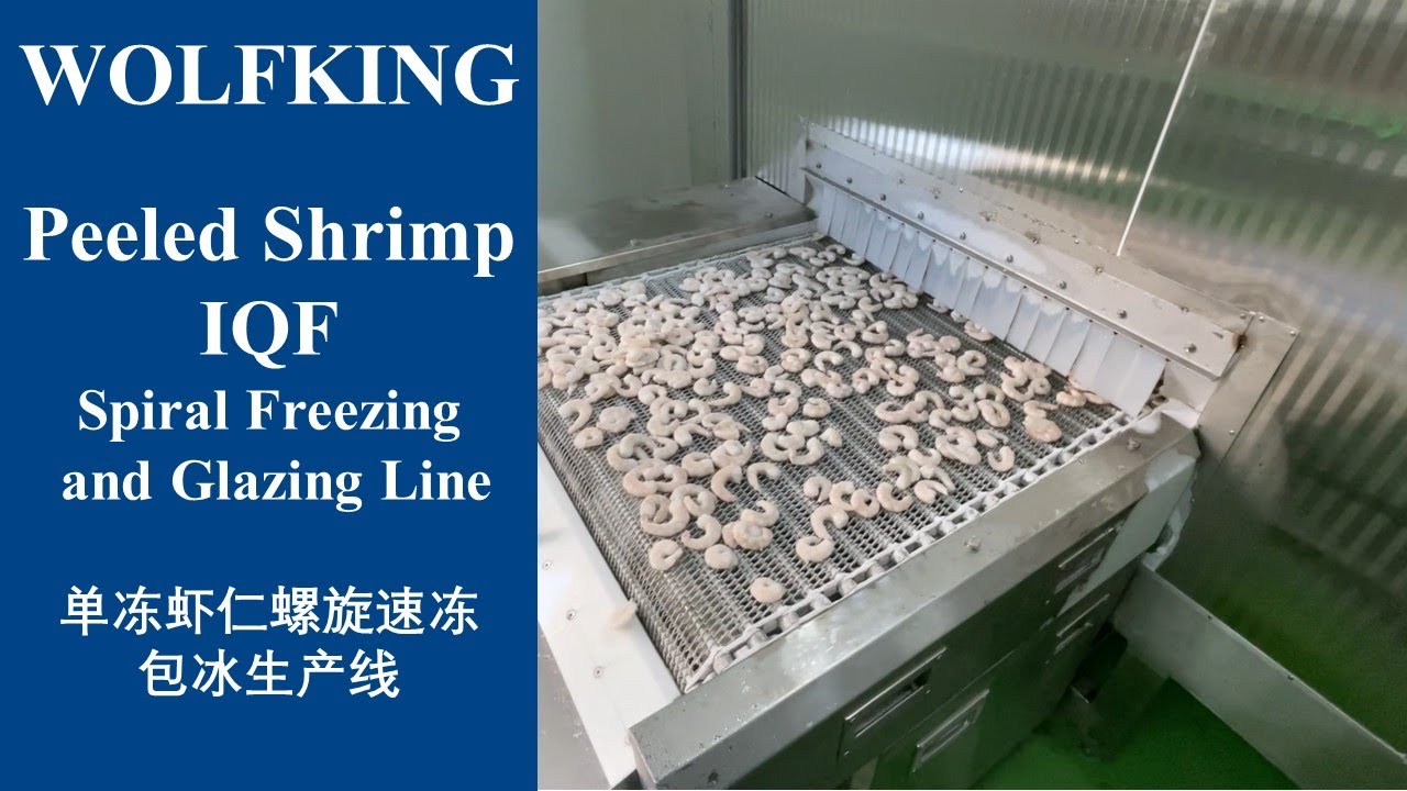 Peeled shrimp IQF spiral freezing ang glazing production line with big capacity and good performance