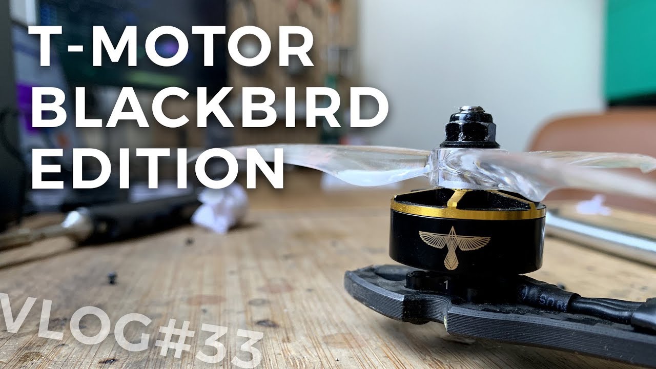 T-Motor BlackBird Edition Review - WORTH IT OR NAH?