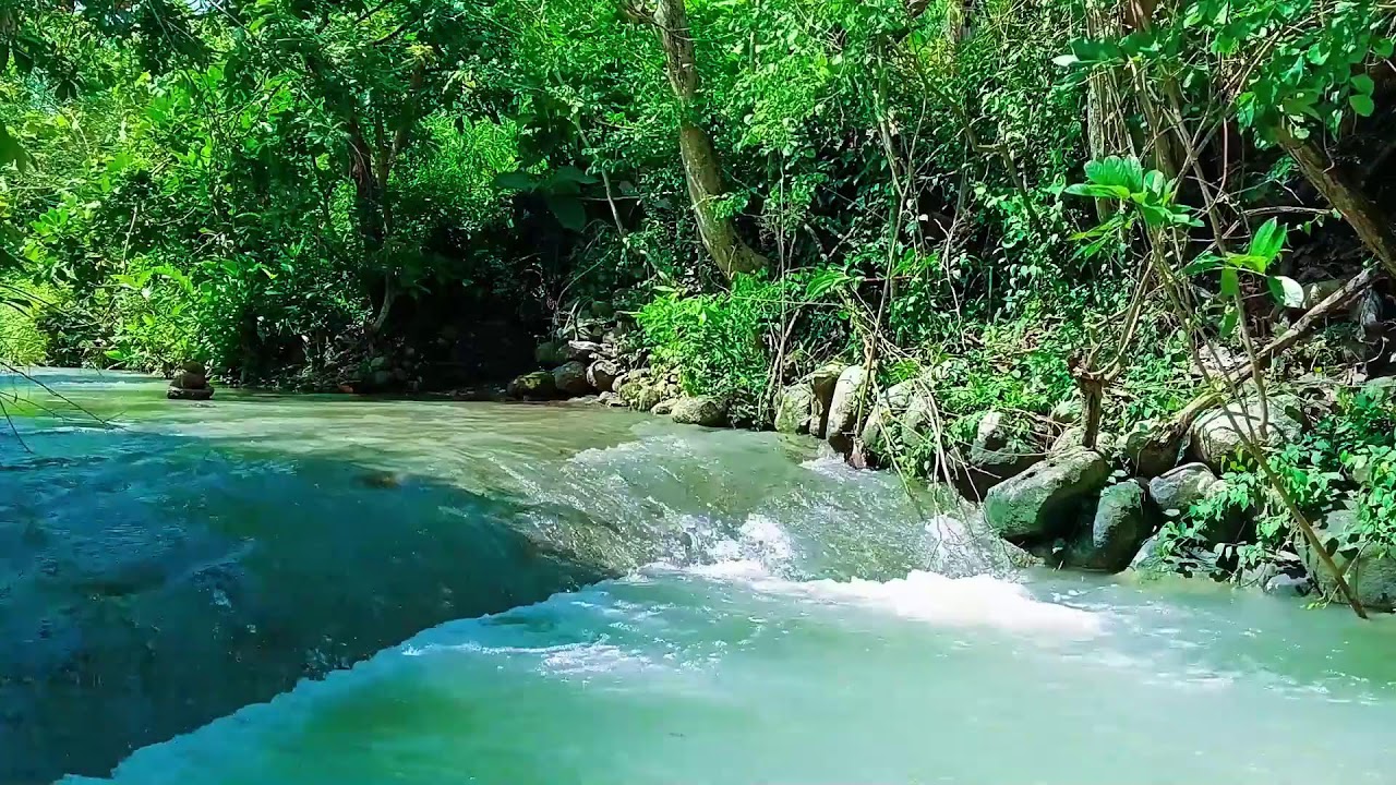 🌞 Daytime Calm: Waterfall Background | 12 Hour Live | No Black Screen