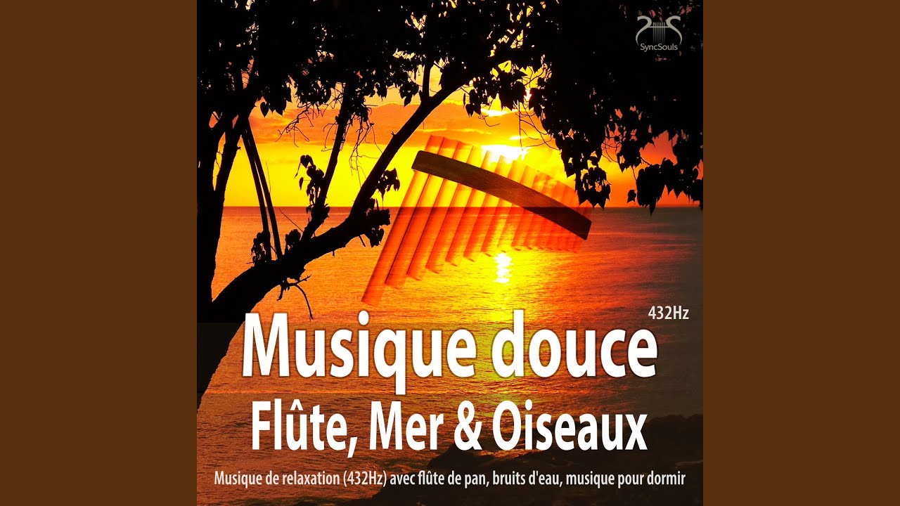 Musique douce de flûte, mer et oiseaux - musique pour le calme (432Hz) avec flûte de pan