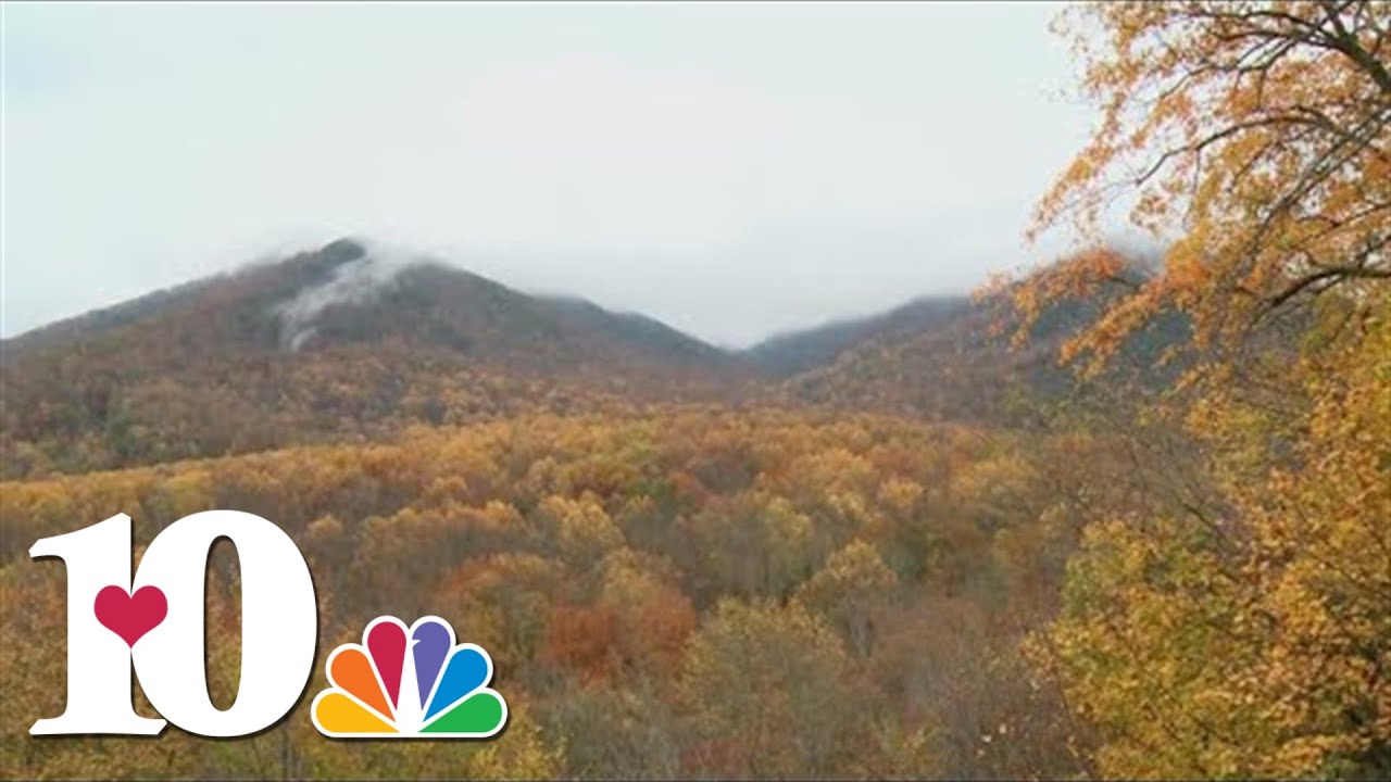 GSMNP studying when trees change