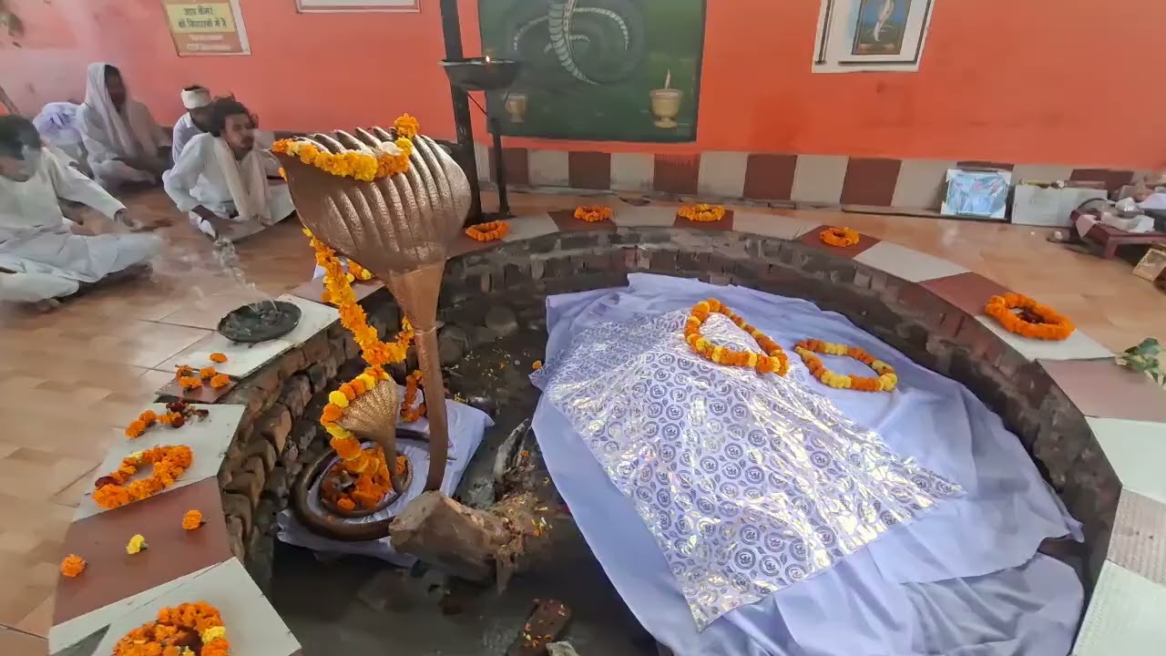 Jai baba Surgal ji 🙏 