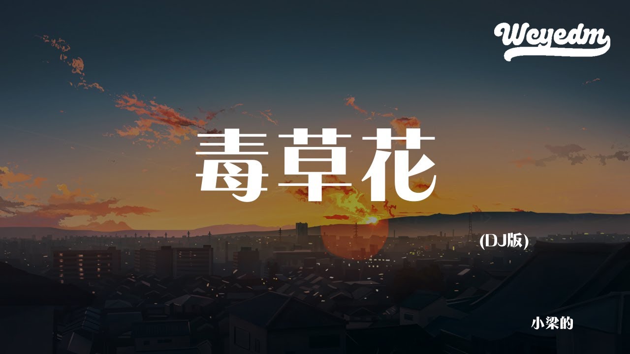 小梁的 - 毒草花DJ版「有毒的草开着迷人的花 害我的人说着爱我的话」【動態歌詞/pīn yīn gē cí】