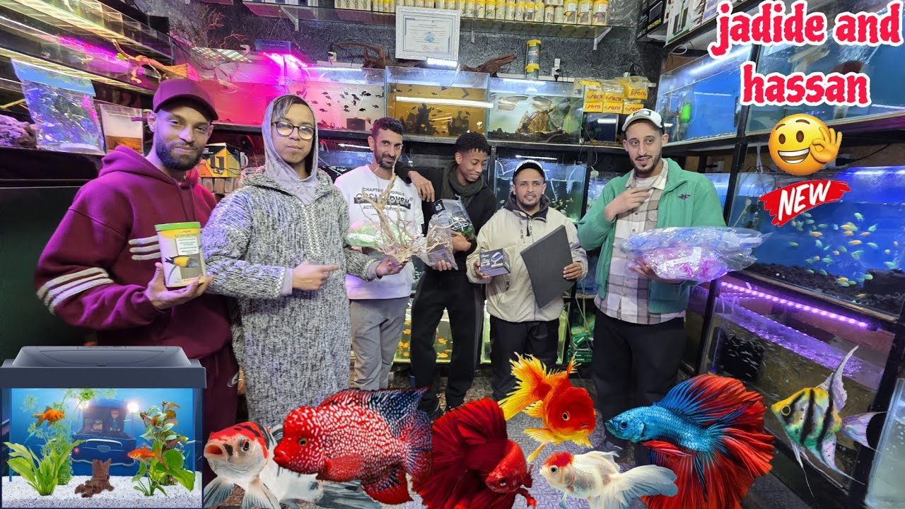 الجديد والجميل عند حسن🐠عشاق أسماك الزينة أجيو نتولعو دائما الجديد أحواض معدات أكل كل ما يخص الأسماك