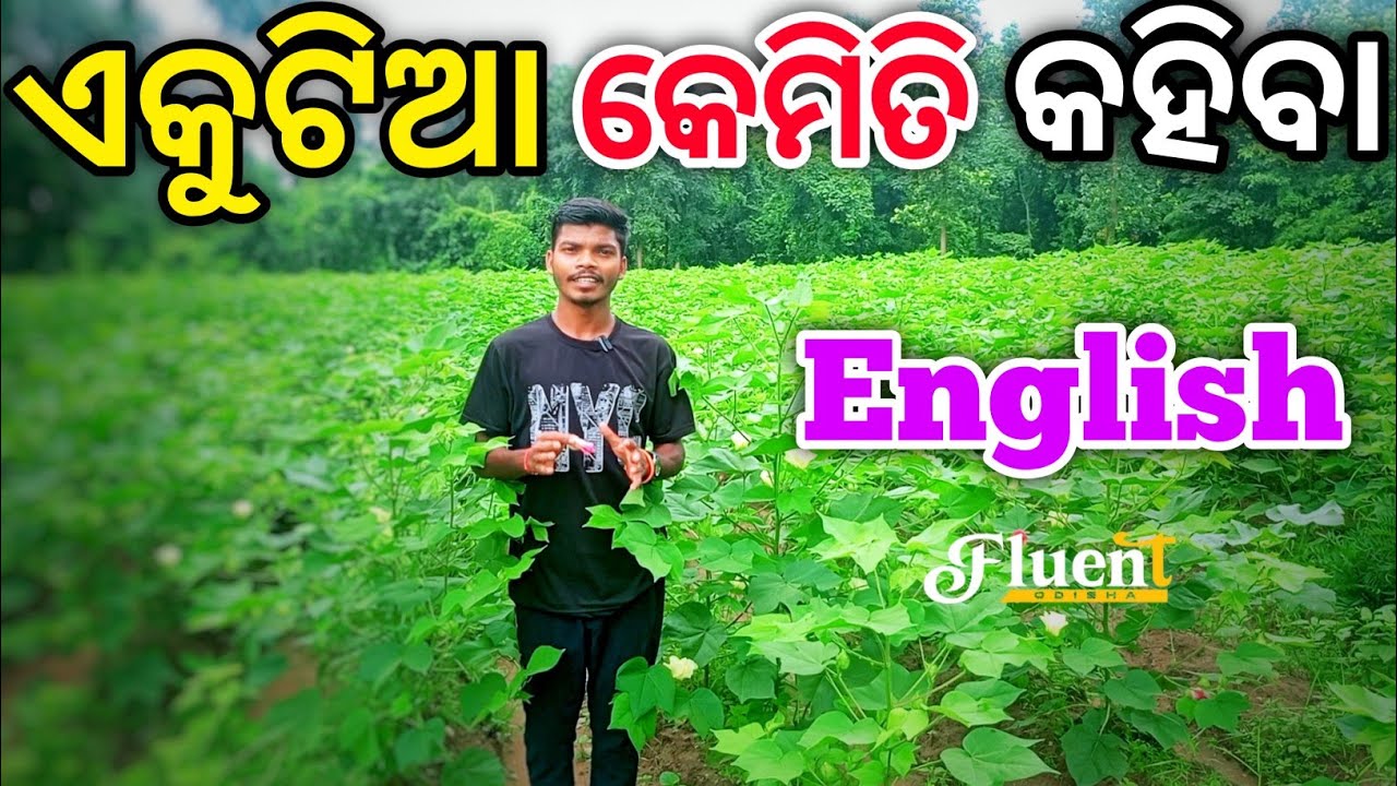 How to Practice English Alone ✅| Improve Your Fluency Fast🔥