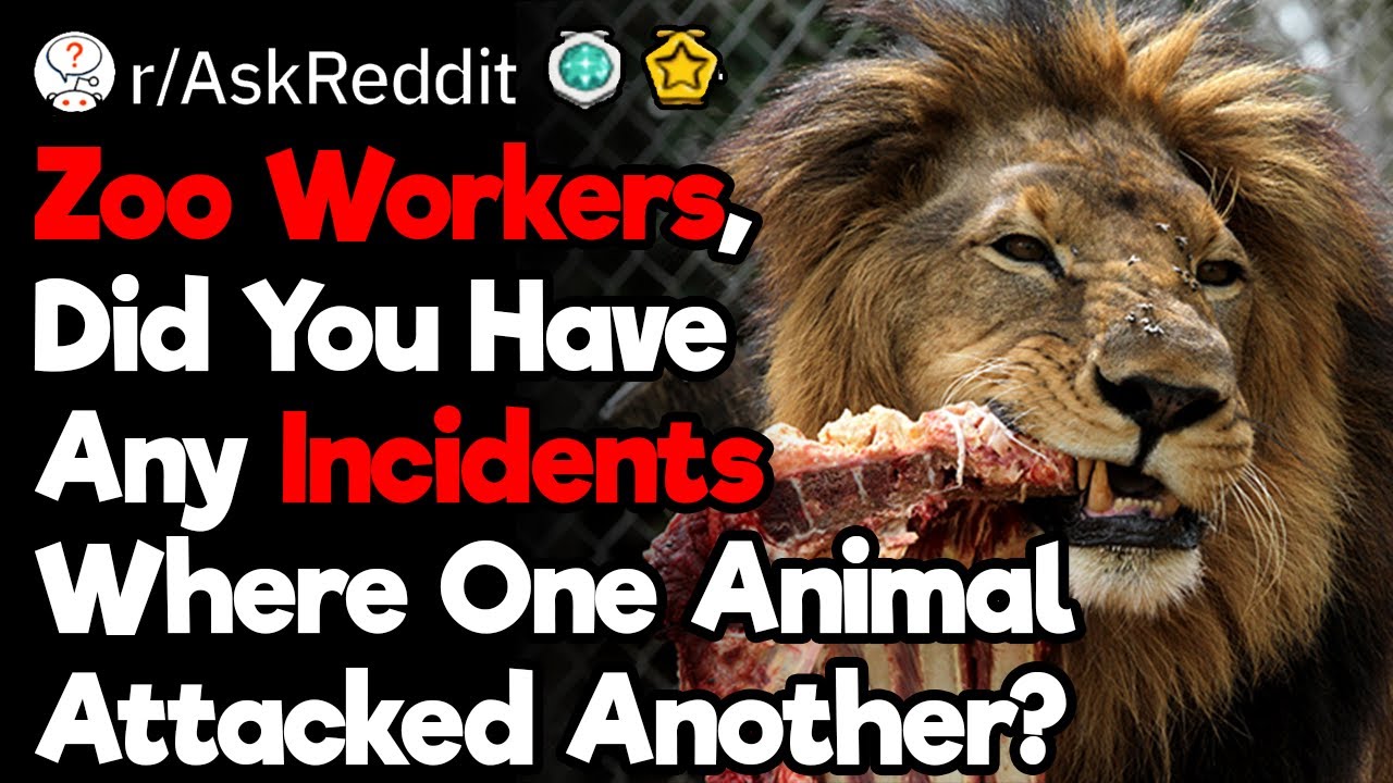 Zoo Workers, Did You Ever Have One Animal Eat Another?