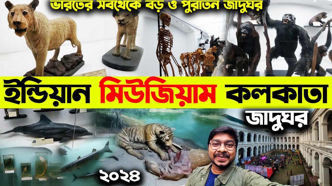 কলকাতার জাদুঘর😍Indian Museum Kolkata😍Indian Museum Kolkata Tour😍India’s Largest and Oldest Museum