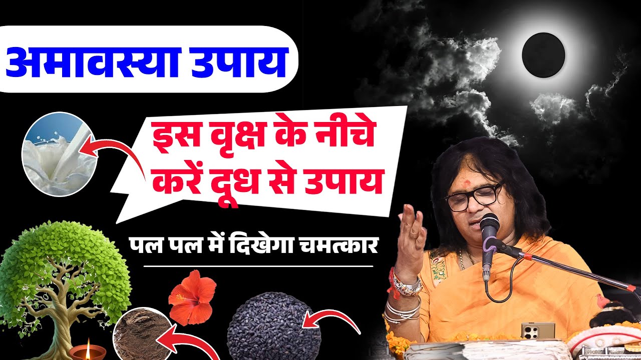 अमावस्या उपाय, इस वृक्ष के नीचे करें दूध से उपाय, पल पल में दिखेगा चमत्कार !| Tapovan News