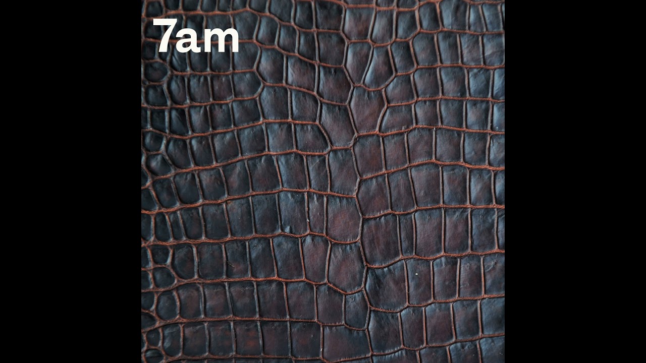 Part 2: Crocodiles and criminals