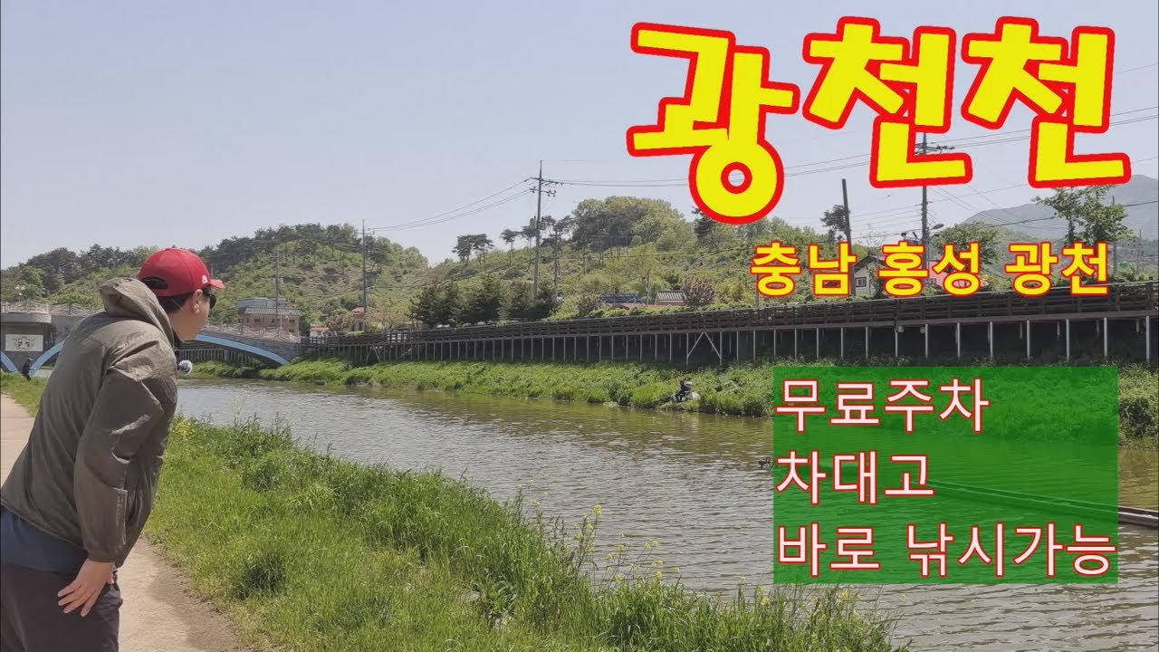시골왔다! 노지 붕어낚시 무료터 탐방 29! 충남 홍성 광천천 #민물낚시