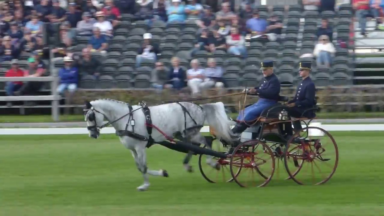 PIRHOFER Rudolf, AUT, CH M A1, Kronenberg, Dressage  31 08 2018