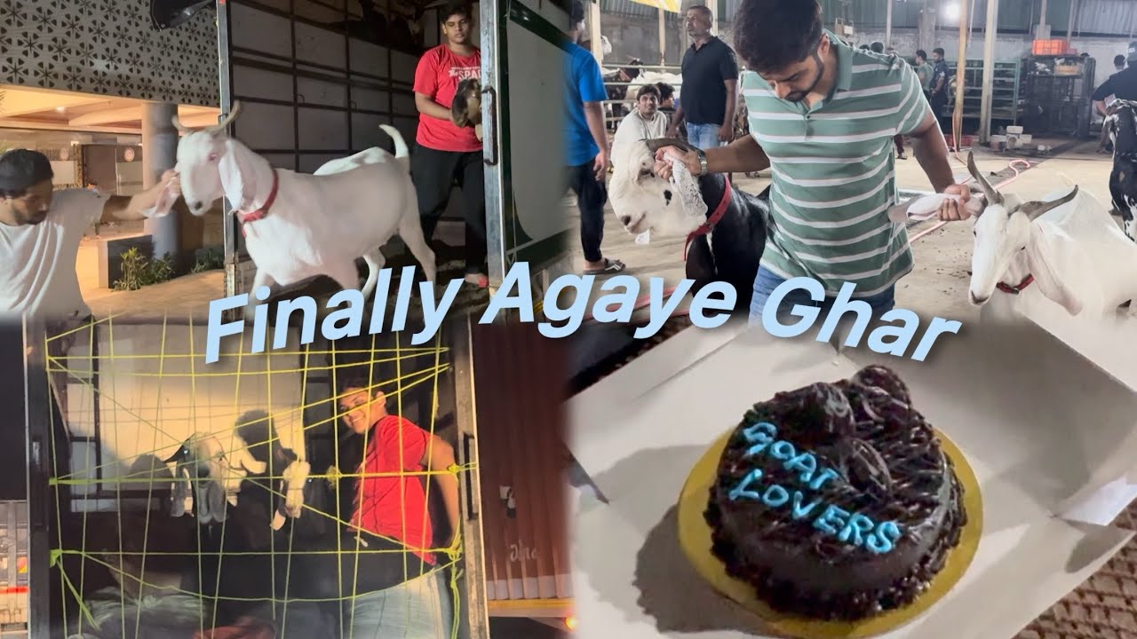 Le aaye bakkre ghar 😍 padgah,bhiwandi ➡️ mumbai ,jogeshwari  - travel vlog ❤️